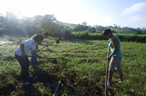 Alunos trabalhando no roça