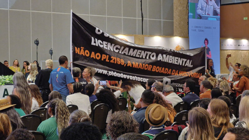 Paulo Shueler