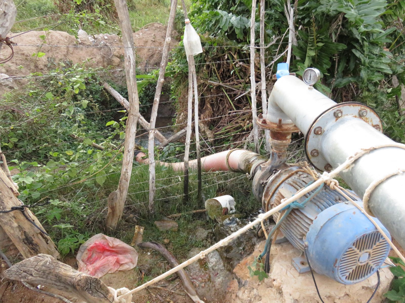 Bombas clandestinas nas nascentes do Pacuí, que abastecem açude para irrigação, ameaçam esgotar as águas do rioFoto: Joelton Belau