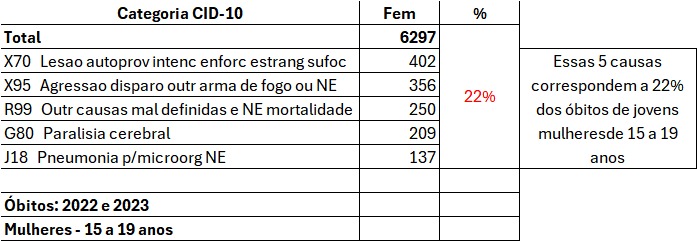 Elaboração de Bianca Leandro