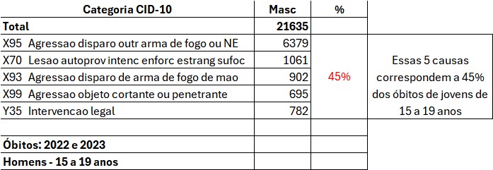 Elaboração de Bianca Leandro
