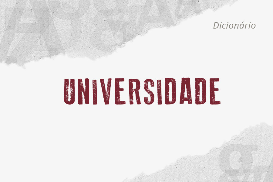 Qual é a importância da Universidade?